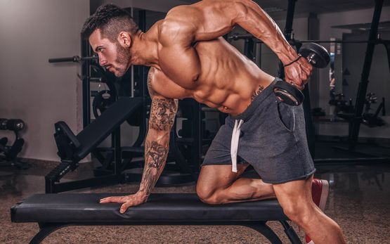 Le rôle des BCAA dans la protection musculaire après un cycle